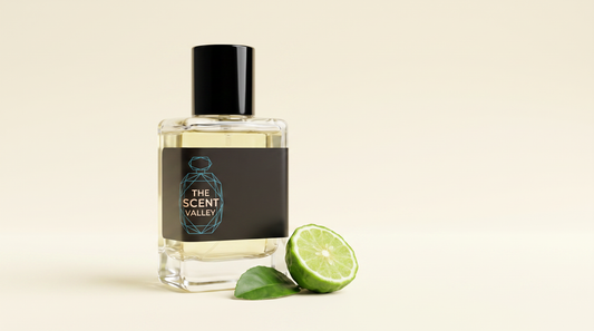 Everyone perfume price in Pakistan and longer-lasting alternatives from The Scent Valley